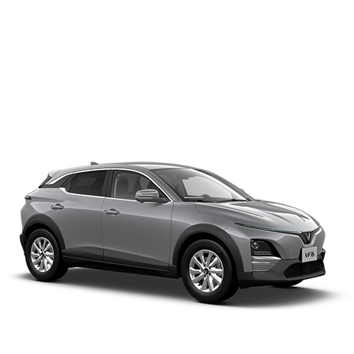 vinfast vf 6 10-4-25 dai dien san pham xam